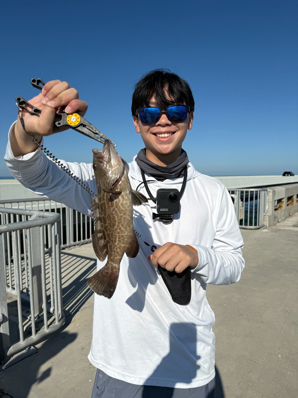 Grouper held up with fishing pliers on the pier