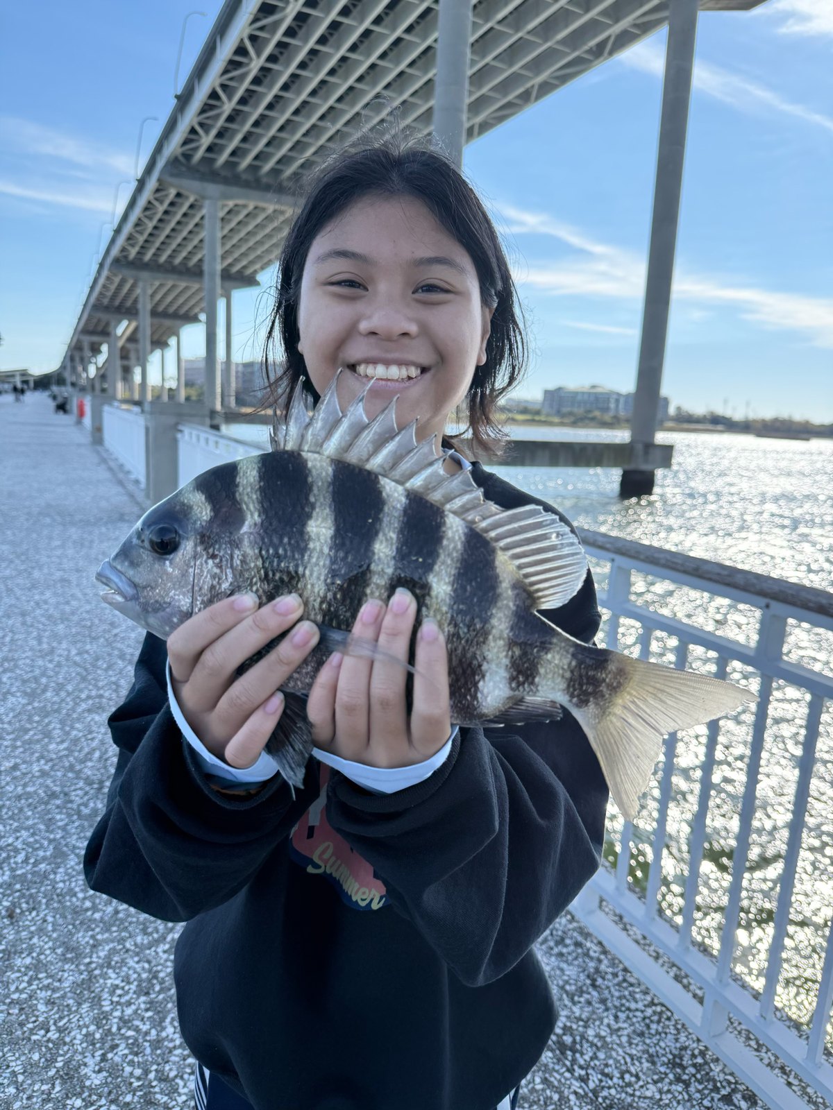 Sheepshead held up on the pier